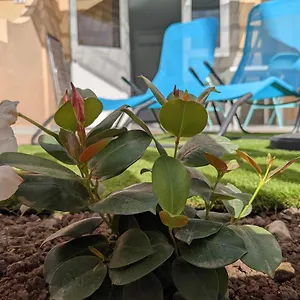 Appartamento Oceano Mare - Tu Casa En Maspalomas