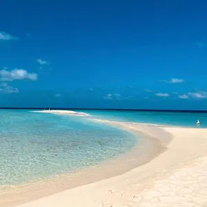 https://apt-rex-con-2-camere.balearic-islands.net