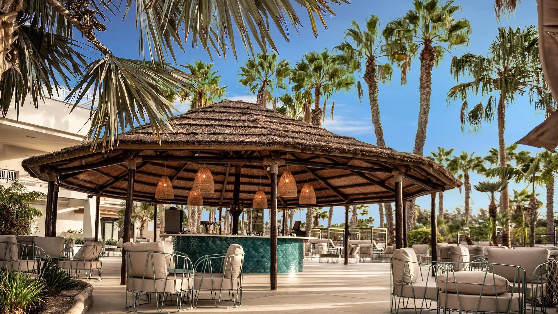 Tabaiba Princess Maspalomas
